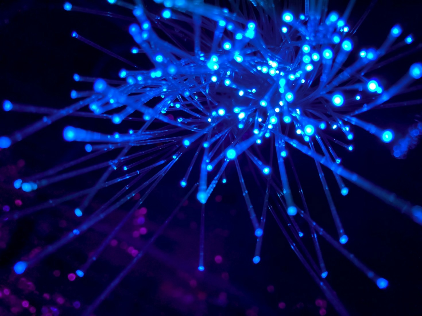 Blockchain and Cryptocurrency: Key Differences Explained